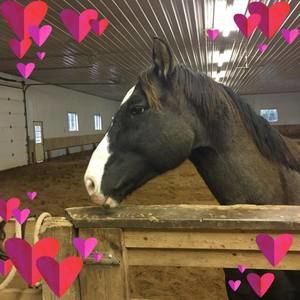 Meet your Posher, Wanda